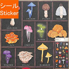 画像をギャラリービューアに読み込む, MINDWAVE ﾏｲﾝﾄﾞｳｪｲﾌﾞ ｼｰﾙ ･ 標本箱ｼｰﾙ きのこの世界 80705 ｼｰﾙ帳 福袋 丸 おしゃれ ｱﾙﾊﾞﾑ ﾃﾞｺﾚｰｼｮﾝ ﾊｰﾄ 大量 ｽﾃｯｶｰ ｽﾏﾎ ごほうび 花 かわいい  ｽｹｼﾞｭｰﾙ帳 手帳のﾀｲﾑｷｰﾊﾟｰ :4909001807051
