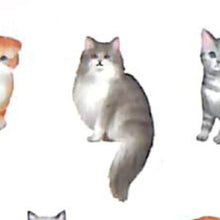 画像をギャラリービューアに読み込む, MINDWAVE ﾏｲﾝﾄﾞｳｪｲﾌﾞ ｼｰﾙ ･ ﾉｰﾌﾞﾙｼﾞｬｰﾆｰｽﾃｯｶｰ ｷｬｯﾄ 猫 ｼｰﾙ帳 福袋 丸 おしゃれ ｱﾙﾊﾞﾑ ﾃﾞｺﾚｰｼｮﾝ ﾊｰﾄ 大量 ｽﾃｯｶｰ ｽﾏﾎ ごほうび 花 かわいい  ｽｹｼﾞｭｰﾙ帳 手帳のﾀｲﾑｷｰﾊﾟｰ :4909001807785

