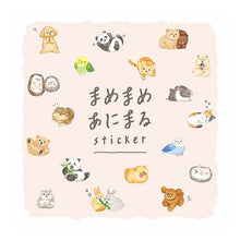 画像をギャラリービューアに読み込む, ＃ｲﾝｺ ﾏｲﾝﾄﾞｳｪｲﾌﾞ :4909001809437
