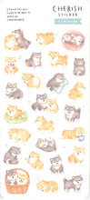Load image into Gallery viewer, ﾁｪﾘｯｼｭｽﾃｯｶｰ 81724 ﾏﾒｼﾊﾞ マインドウェイブ MIND WAVE :4909001817241
