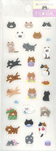 Load image into Gallery viewer, CLOTHES-PIN ｸﾛｰｽﾞﾋﾟﾝ ｼｰﾙ ･ ﾌｨﾙﾑｼｰﾙ ねこ 猫 ｷｬｯﾄ US14910 ｼｰﾙ帳 福袋 丸 おしゃれ ｱﾙﾊﾞﾑ ﾃﾞｺﾚｰｼｮﾝ ﾊｰﾄ 大量 ｽﾃｯｶｰ ｽﾏﾎ ごほうび 花 かわいい ｽｹｼﾞｭｰﾙ帳 手帳のﾀｲﾑｷｰﾊﾟｰ :4920097149108
