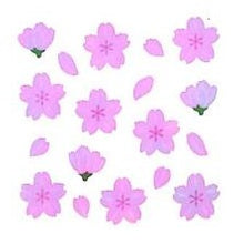 画像をギャラリービューアに読み込む, ＃ｵｰﾛﾗｼｰﾙ 桜 デコレーション 手帳 メッセージカード 奥山 :4935786360788
