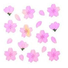 画像をギャラリービューアに読み込む, ＃ｵｰﾛﾗｼｰﾙ 桜 デコレーション 手帳 メッセージカード 奥山 :4935786360788
