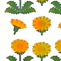 画像をギャラリービューアに読み込む, OKUYAMA 奥山 ｼｰﾙ ･ 季節 Funｼｰﾙ たんぽぽ 春 植物 花 ﾗﾒ ｼｰﾙ帳 福袋 丸 おしゃれ ｱﾙﾊﾞﾑ ﾃﾞｺﾚｰｼｮﾝ ﾊｰﾄ 大量 ｽﾃｯｶｰ ｽﾏﾎ ごほうび 花 かわいい  ｽｹｼﾞｭｰﾙ帳 手帳のﾀｲﾑｷｰﾊﾟｰ :4935786451592
