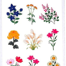 Load image into Gallery viewer, OKUYAMA 奥山 ｼｰﾙ 秋柄･ﾗﾒ入りｼｰﾙｱｷﾉﾊﾅ 秋の花　CR146  ｽｹｼﾞｭｰﾙ帳 手帳のﾀｲﾑｷｰﾊﾟｰ :4935786581466
