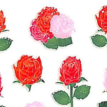 Load image into Gallery viewer, ﾗﾒ入りｼｰﾙ ﾊﾞﾗ :4935786584870
