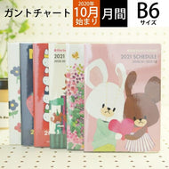 21年K/GB6ﾀﾞｲｱﾘｰ :4937122810001 :4937122044802