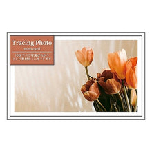 画像をギャラリービューアに読み込む, ＃全部ちがうﾄﾚﾍﾟﾌｫﾄﾐﾆｶｰﾄﾞﾃﾗｺｯﾀ --- : All different Trepe Photo Mini Card Terracotta :4938325107493
