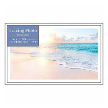 画像をギャラリービューアに読み込む, ＃全部ちがうﾄﾚﾍﾟﾌｫﾄﾐﾆｶｰﾄﾞﾌﾞﾙｰ --- : All different Trepe Photo Mini Card Blue :4938325107516
