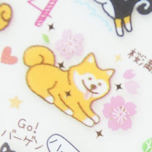 画像をギャラリービューアに読み込む, 4938325434056
