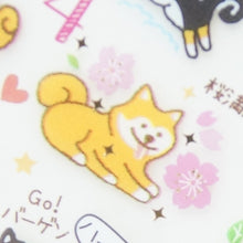画像をギャラリービューアに読み込む, 4938325434056
