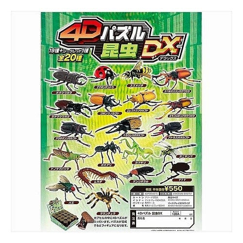 ４Dパズル昆虫