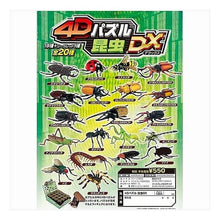 画像をギャラリービューアに読み込む, ４Dパズル昆虫
