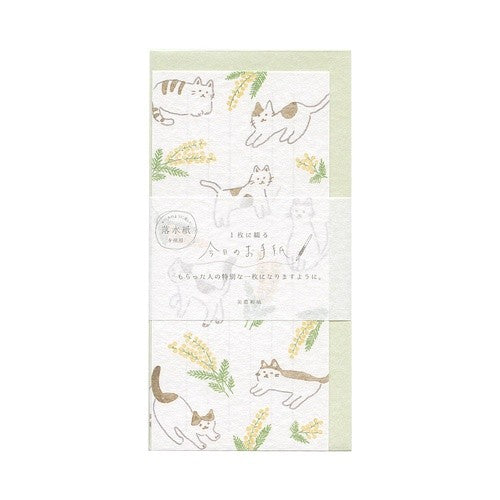 ＃今日のお手紙 --- : today's letter :4952270302499