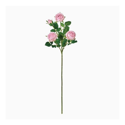 ＃プランタンローズ_＃２　　ＰＩＮＫ : Printemps Rose_#2 PINK : 4967116911384 :4967116911384