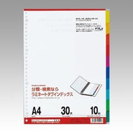 Ａ４ラミタブ見出し　１０山