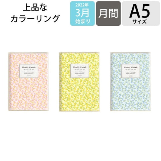 ﾀﾞﾝｾ