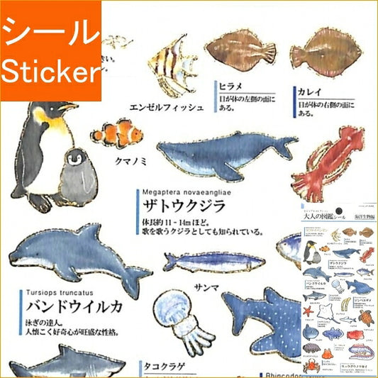 KAMIO JAPAN ｶﾐｵｼﾞｬﾊﾟﾝ ｼｰﾙ ･ 大人の図鑑ｼｰﾙ 海洋生物編 ｼｰﾙ帳 福袋 ｽｹｼﾞｭｰﾙ ﾃﾞｺ ｽﾃｯｶｰ ﾀﾞｲｱﾘｰ ごほうび 花 ｱﾙﾌｧﾍﾞｯﾄ ｽｹｼﾞｭｰﾙ帳 手帳のﾀｲﾑｷｰﾊﾟｰ :4991277006559