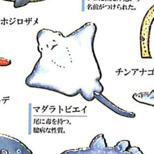 画像をギャラリービューアに読み込む, KAMIO JAPAN ｶﾐｵｼﾞｬﾊﾟﾝ ｼｰﾙ ･ 大人の図鑑ｼｰﾙ 海洋生物編 ｼｰﾙ帳 福袋 ｽｹｼﾞｭｰﾙ ﾃﾞｺ ｽﾃｯｶｰ ﾀﾞｲｱﾘｰ ごほうび 花 ｱﾙﾌｧﾍﾞｯﾄ ｽｹｼﾞｭｰﾙ帳 手帳のﾀｲﾑｷｰﾊﾟｰ :4991277006559
