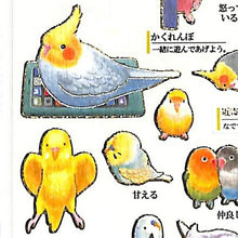Load image into Gallery viewer, KAMIO JAPAN ｶﾐｵｼﾞｬﾊﾟﾝ ｼｰﾙ ･ PM大人の図鑑ｼｰﾙ/ｲﾝｺの気持ち 鳥 いんこ 鳥類 ｼｰﾙ帳 福袋 ｽｹｼﾞｭｰﾙ ﾃﾞｺ ｽﾃｯｶｰ ﾀﾞｲｱﾘｰ 動物 ｱﾆﾏﾙ ｷｬﾗｸﾀｰ 大人の図鑑 ｼｰﾙ  ｽｹｼﾞｭｰﾙ帳 手帳のﾀｲﾑｷｰﾊﾟｰ :4991277072929

