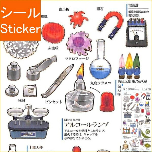 KAMIOJAPAN Kamio Japan Stickers - PM Adult Picture Book Stickers Science Sticker Book Lucky Bag Round Stylish Album Decoration Heart Large Quantity Stickers Smartphone Reward Flower Cute Schedule Book Diary Timekeeper :4991277213841