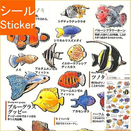 KAMIO JAPAN ｶﾐｵｼﾞｬﾊﾟﾝ ｼｰﾙ ･ PM大人の図鑑ｼｰﾙ 熱帯魚 ｼｰﾙ帳 福袋 丸 おしゃれ ｱﾙﾊﾞﾑ ﾃﾞｺﾚｰｼｮﾝ ﾊｰﾄ 大量 ｽﾃｯｶｰ ｽﾏﾎ ごほうび 花 かわいい  ｽｹｼﾞｭｰﾙ帳 手帳のﾀｲﾑｷｰﾊﾟｰ :4991277239605