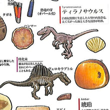 画像をギャラリービューアに読み込む, KAMIO JAPAN ｶﾐｵｼﾞｬﾊﾟﾝ ｼｰﾙ ･ PM大人の図鑑ｼｰﾙ/化石 ｼｰﾙ帳 福袋 ｽｹｼﾞｭｰﾙ ﾃﾞｺ ｽﾃｯｶｰ ﾀﾞｲｱﾘｰ 歴史 化石 石 ｱﾝﾓﾅｲﾄ 大人の図鑑  ｽｹｼﾞｭｰﾙ帳 手帳のﾀｲﾑｷｰﾊﾟｰ :4991277262238
