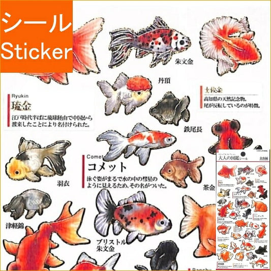 KAMIO JAPAN ｶﾐｵｼﾞｬﾊﾟﾝ ｼｰﾙ ･ 大人の図鑑 ｼｰﾙ 金魚 292273 ｼｰﾙ帳 福袋 丸 おしゃれ ｱﾙﾊﾞﾑ ﾃﾞｺﾚｰｼｮﾝ ﾊｰﾄ 大量 ｽﾃｯｶｰ ｽﾏﾎ ごほうび 花 かわいい  ｽｹｼﾞｭｰﾙ帳 手帳のﾀｲﾑｷｰﾊﾟｰ :4991277292273