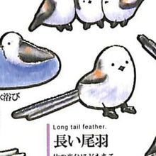 Load image into Gallery viewer, KAMIOJAPAN ｶﾐｵｼﾞｬﾊﾟﾝ ｼｰﾙ ･ PM大人の図鑑ｼｰﾙ/ｼﾏｴﾅｶﾞ しまえなが 北海道 鳥 冬 雪 ｼｰﾙ帳 福袋 ｽｹｼﾞｭｰﾙ ﾃﾞｺ ｽﾃｯｶｰ ﾀﾞｲｱﾘｰ ごほうび 花 ｱﾙﾌｧﾍﾞｯﾄ  ｽｹｼﾞｭｰﾙ帳 手帳のﾀｲﾑｷｰﾊﾟｰ :4991277416891
