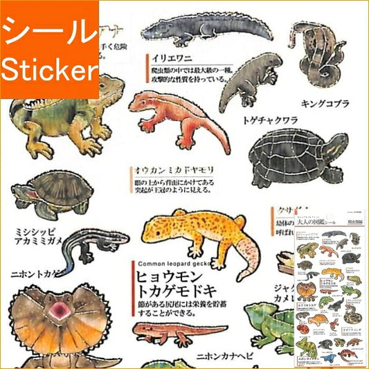 KAMIOJAPAN ｶﾐｵｼﾞｬﾊﾟﾝ ｼｰﾙ ･ PM大人の図鑑ｼｰﾙ/爬虫類 ｼｰﾙ帳 福袋 丸 おしゃれ ｱﾙﾊﾞﾑ ﾃﾞｺﾚｰｼｮﾝ ﾊｰﾄ 大量 ｽﾃｯｶｰ ｽﾏﾎ ごほうび 花 かわいい  ｽｹｼﾞｭｰﾙ帳 手帳のﾀｲﾑｷｰﾊﾟｰ :4991277416914
