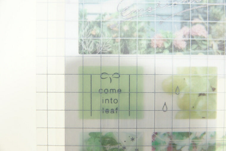 KAMIO JAPAN ｶﾐｵｼﾞｬﾊﾟﾝ ｼｰﾙ ･ ﾌﾚｰﾑｽﾞｽﾄｰﾘｰ ｼｰﾙ ｸﾞﾘｰﾝ ｼｰﾙ帳 福袋 丸 おしゃれ ｱﾙﾊﾞﾑ ﾃﾞｺﾚｰｼｮﾝ ﾊｰﾄ 大量 ｽﾃｯｶｰ ｽﾏﾎ ごほうび 花 かわいい ｽｹｼﾞｭｰﾙ帳 手帳のﾀｲﾑｷｰﾊﾟｰ :4991277422571