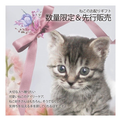 ＃その他雑貨 ほんやら堂 :4991936387135