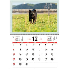 Load image into Gallery viewer, ＃25年CL/019猫川柳 (株)ｴｰﾋﾟｰｼﾞｪｲ工房 :4995027140852
