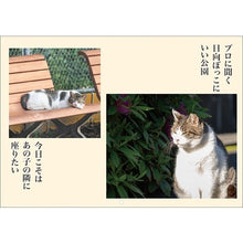 Load image into Gallery viewer, ＃25年CL/019猫川柳 (株)ｴｰﾋﾟｰｼﾞｪｲ工房 :4995027140852
