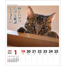 画像をギャラリービューアに読み込む, ＃25年CL/023猫川柳(週めくり) (株)ｴｰﾋﾟｰｼﾞｪｲ工房 :4995027140890
