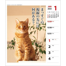 画像をギャラリービューアに読み込む, ＃25年CL/023猫川柳(週めくり) (株)ｴｰﾋﾟｰｼﾞｪｲ工房 :4995027140890
