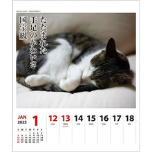 画像をギャラリービューアに読み込む, ＃25年CL/023猫川柳(週めくり) (株)ｴｰﾋﾟｰｼﾞｪｲ工房 :4995027140890
