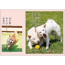 画像をギャラリービューアに読み込む, ＃26年CL/017犬川柳 (株)ｴｰﾋﾟｰｼﾞｪｲ工房 :4995027174192
