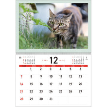画像をギャラリービューアに読み込む, ＃26年CL/018猫川柳 (株)ｴｰﾋﾟｰｼﾞｪｲ工房 :4995027174208
