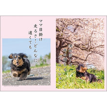 Load image into Gallery viewer, ＃26年CL/019ﾀﾞｯｸｽ川柳 (株)ｴｰﾋﾟｰｼﾞｪｲ工房 :4995027174215
