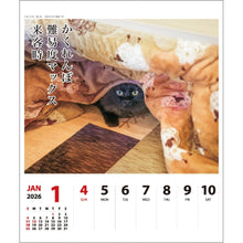 Load image into Gallery viewer, ＃26年CL/022猫川柳(週めくり) (株)ｴｰﾋﾟｰｼﾞｪｲ工房 :4995027174246
