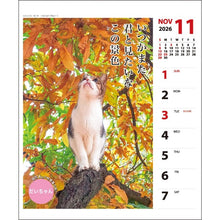 Load image into Gallery viewer, ＃26年CL/022猫川柳(週めくり) (株)ｴｰﾋﾟｰｼﾞｪｲ工房 :4995027174246
