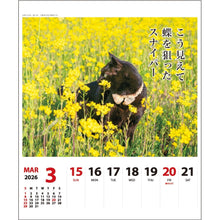 Load image into Gallery viewer, ＃26年CL/022猫川柳(週めくり) (株)ｴｰﾋﾟｰｼﾞｪｲ工房 :4995027174246
