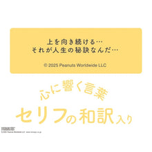 画像をギャラリービューアに読み込む, ＃26年CL/152日めくり&amp;ｽｹｼﾞｭｰﾙ/PEANUTS (株)ｴｰﾋﾟｰｼﾞｪｲ工房 :4995027175724
