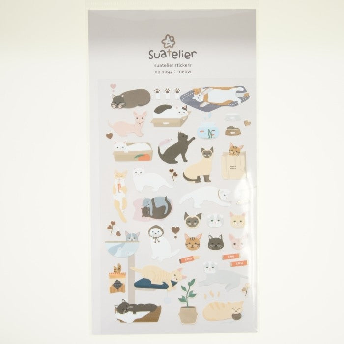 ＃ｽﾜﾃﾘｴｽﾃｯｶｰmeow ﾏｲﾝﾄﾞｳｴｲﾌﾞ :8809395494362