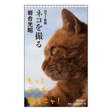 画像をギャラリービューアに読み込む, ＃岩合 光昭 ＃ネコを撮る　カラー新版 ｲﾜｺﾞｳﾐﾂｱｷ 朝日新聞出版 カラー新版 ネコを撮る (朝日新書) : Mitsuaki Iwago Photographing cats - new color edition :9784022737717
