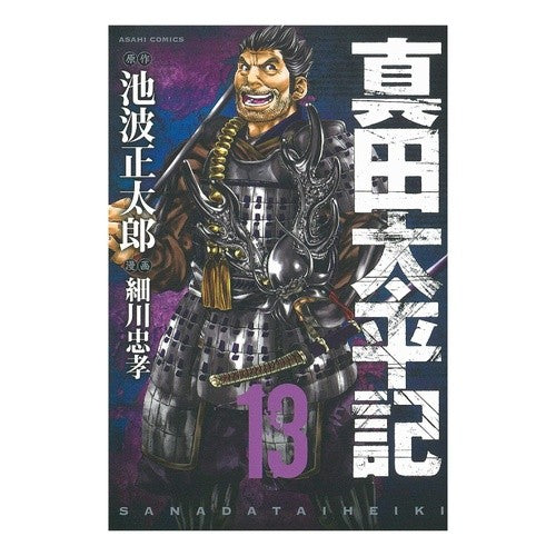 真田太平記　　１３