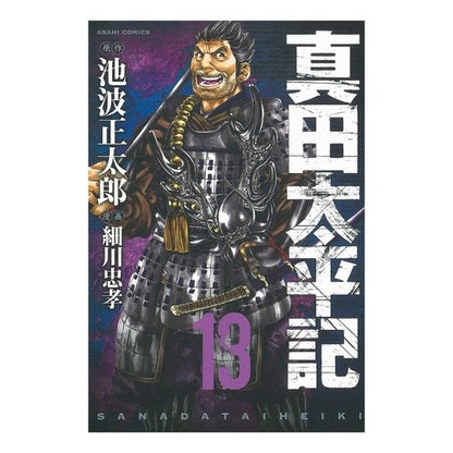 真田太平記　　１３