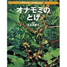画像をギャラリービューアに読み込む, オナモミのとげ
