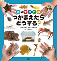 画像をギャラリービューアに読み込む, 海の生きものつかまえたらどうする？ 杉本　幹　文 ｽｷﾞﾓﾄﾐｷ 偕成社 :9784035285601
